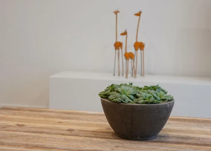 House Forelle Διαμέρισμα *