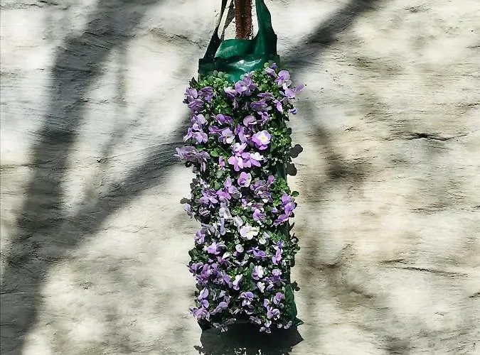 Διαμέρισμα House Forelle *