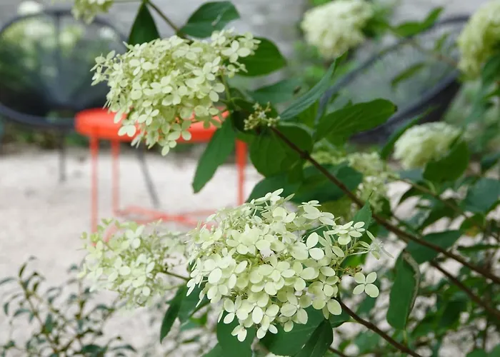 Διαμέρισμα House Forelle