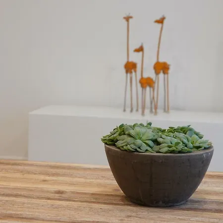 House Forelle Апартаменти *